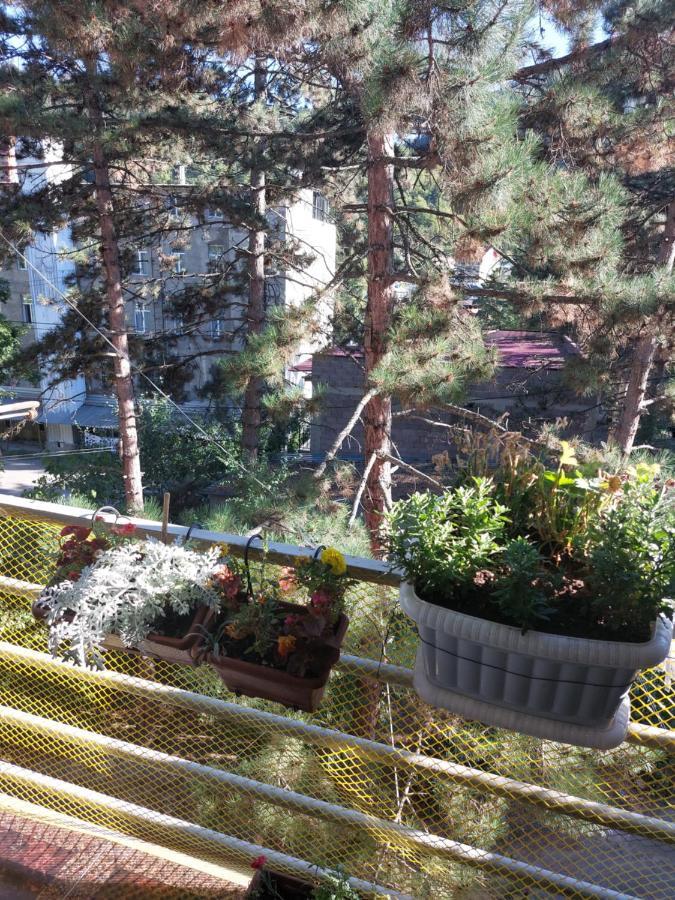 Londa Apartment Borjomi Exterior photo